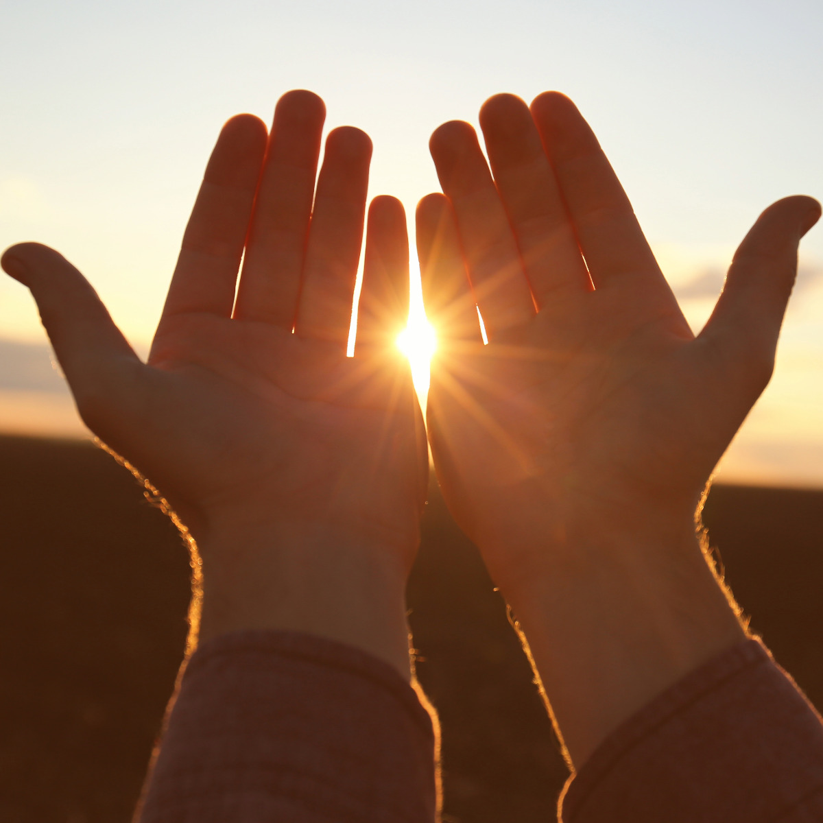 Federazione Nazionale Associazioni Trauma Cranico: la rete che ti sostiene nel percorso di rinascita Federazione Nazionale Associazioni Trauma Cranico: la rete che ti sostiene nel percorso di rinascita